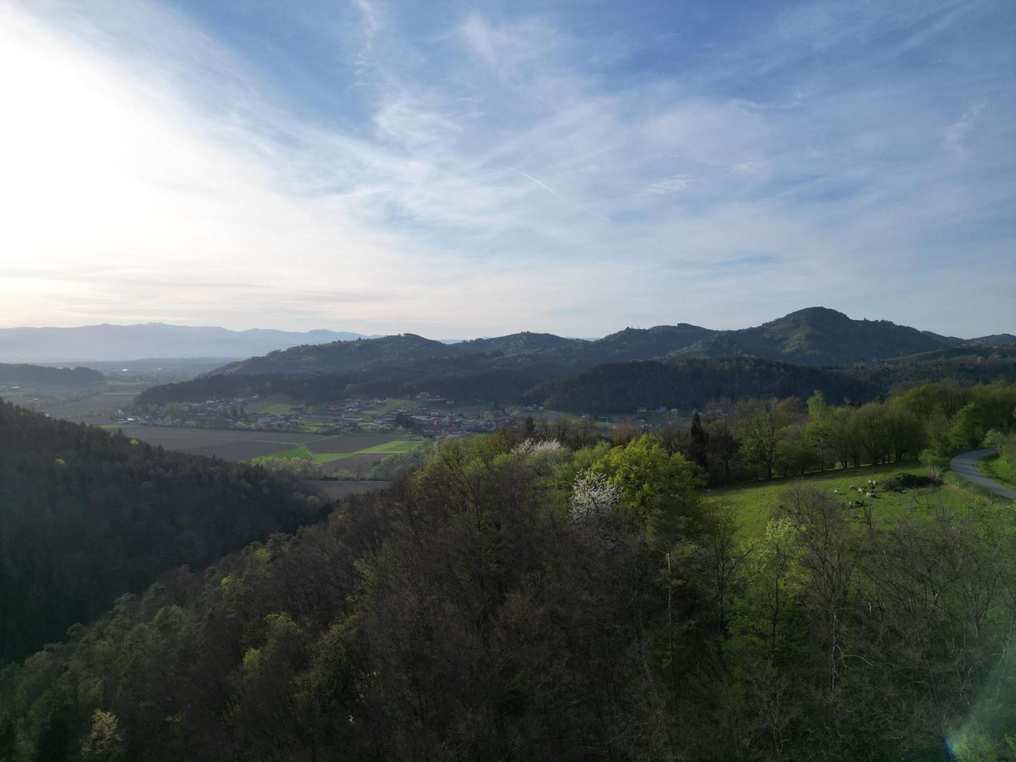 Pettinger Stoeckl Holiday home